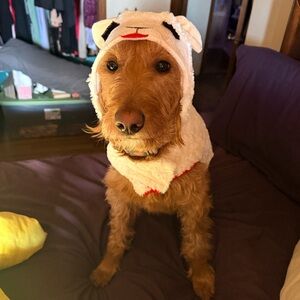 Meet your Posher, Jennifer @ Then & Again Fashions